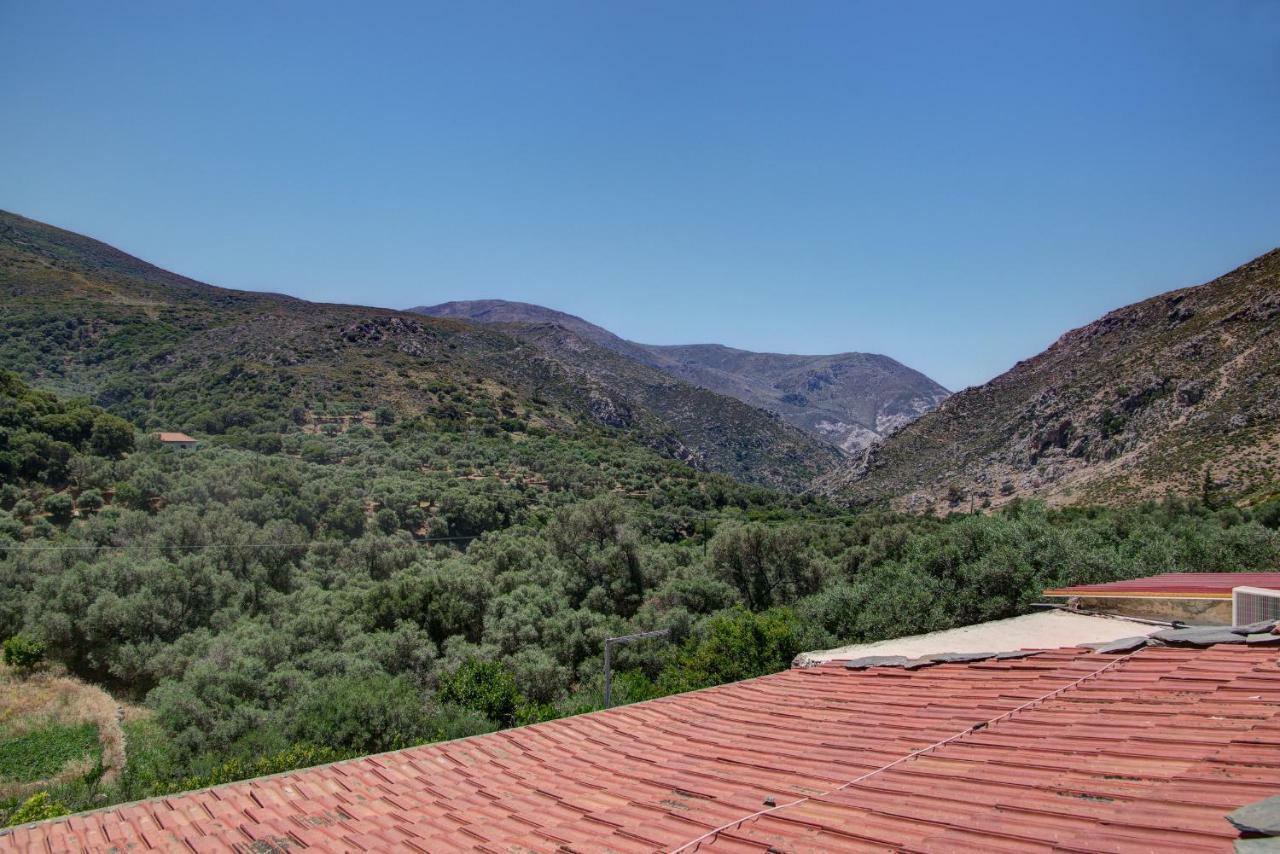 Traditional Cretan Country House Plokamianá Exterior foto